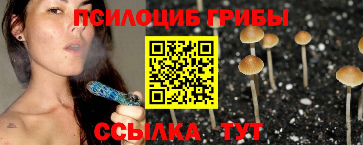Галлюциногенные грибы ЛСД  закладка  Салехард  Галлюциногенные грибы MAGIC MUSHROOMS  Вход с VPN 